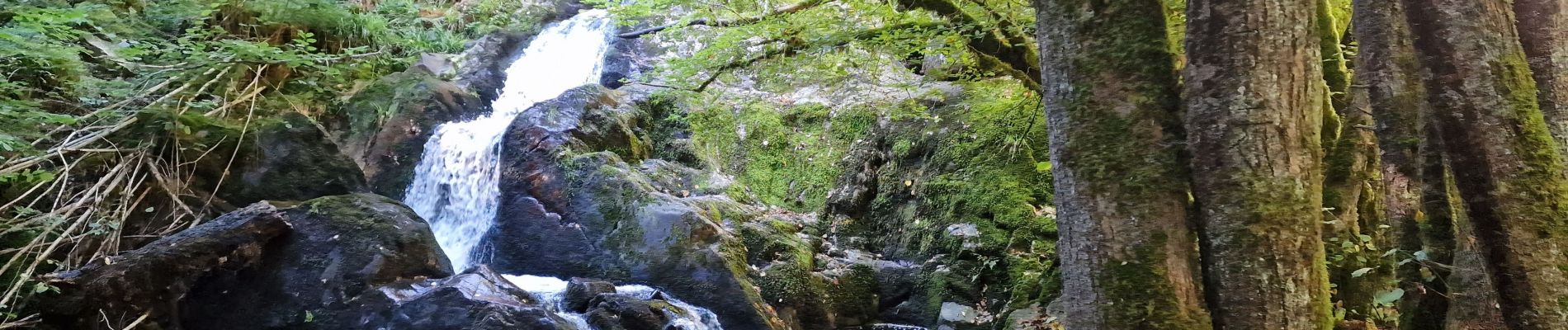 Randonnée Marche Roussillon-en-Morvan - Roussillon en Morvan - Photo