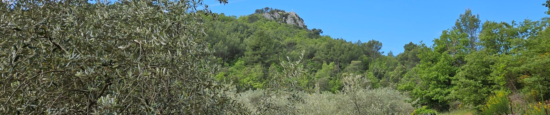 Trail Walking Nans-les-Pins - De Nans les pins vers les sources de l'Huveaune - Photo