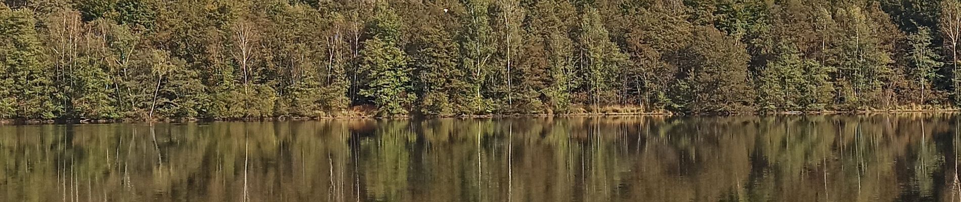 Randonnée Marche Citers - 17-10-21 etang de la velle - Photo