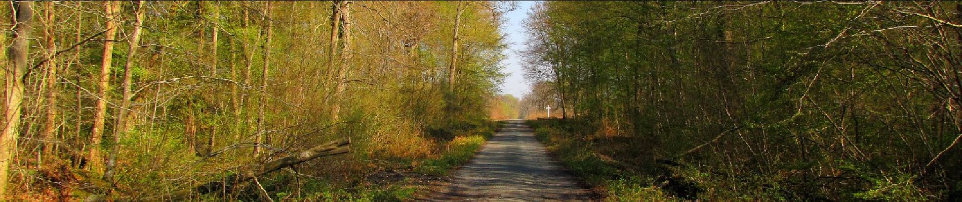 Punto de interés Le Plessis-Brion - Point 9 - Photo