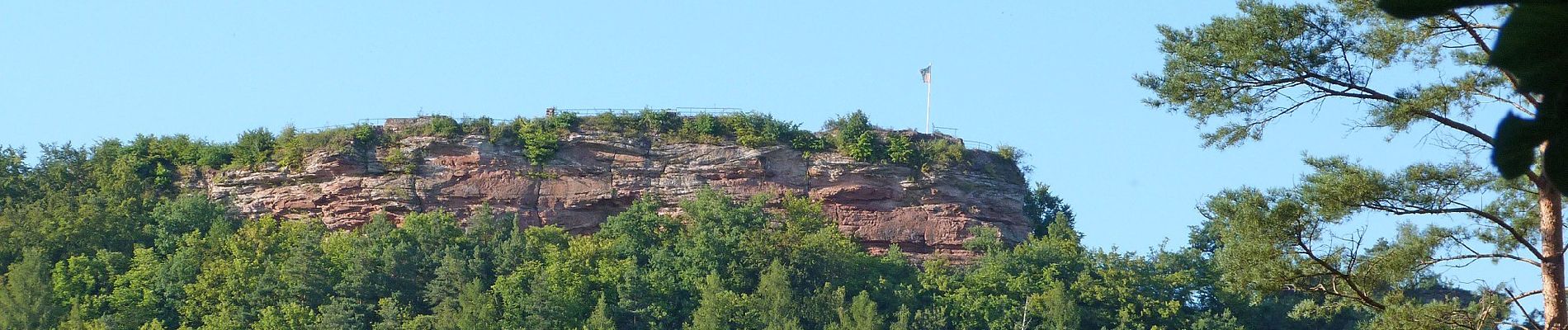 Randonnée A pied Wilgartswiesen - Rundweg D Wilgartswiesen - Photo