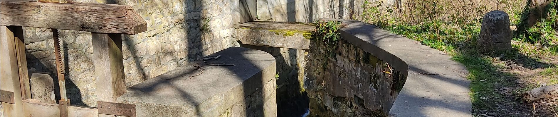 Percorso Marcia Asnières-sur-Oise - randonnée en forêt de bâillon et campagne - Photo