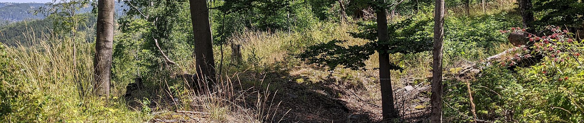 Excursión A pie Karlovice - NS Historií a přírodou Karlovic - Photo