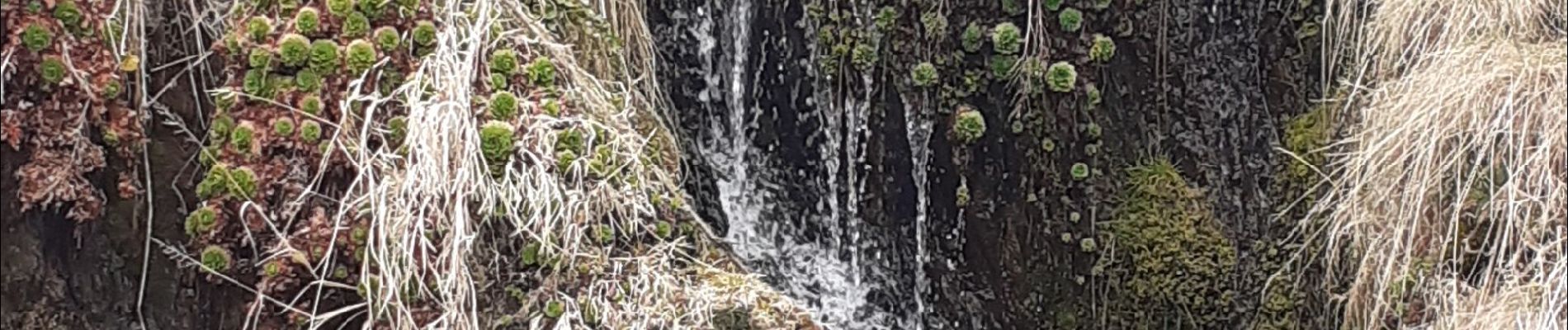 Tocht Stappen Bourg-d'Oueil - Bourg d'Oueil - Photo