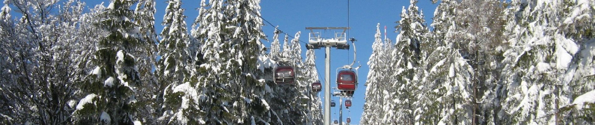 Randonnée A pied Fichtelberg - Fichtelberger Bergwerksweg - Photo