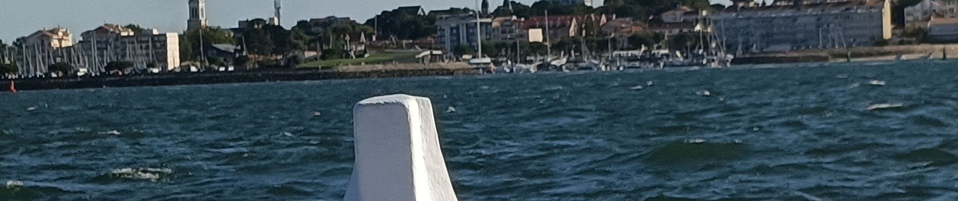 Percorso Motoscafo Arcachon - Tour de l'île aux Oiseaux - Photo