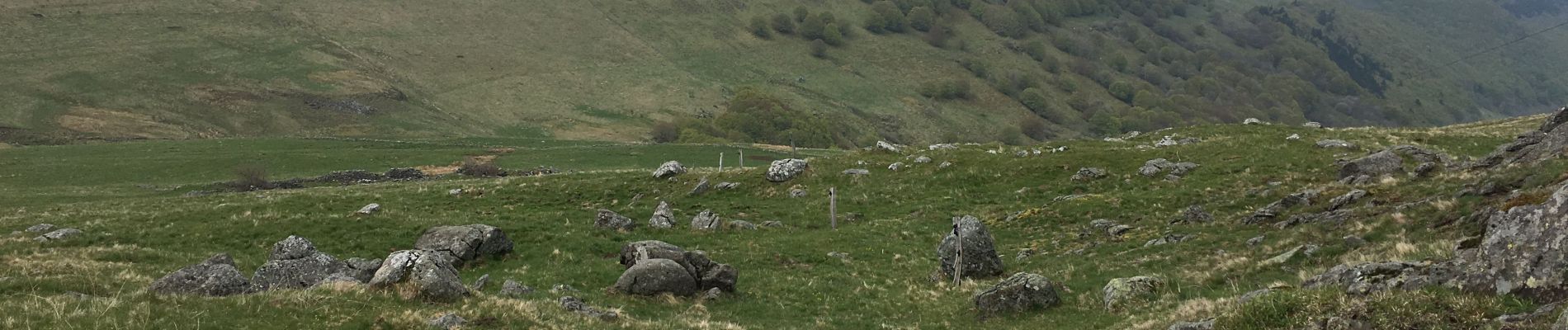 Tocht Stappen Murat - GR400 Tour du Cantal - Photo