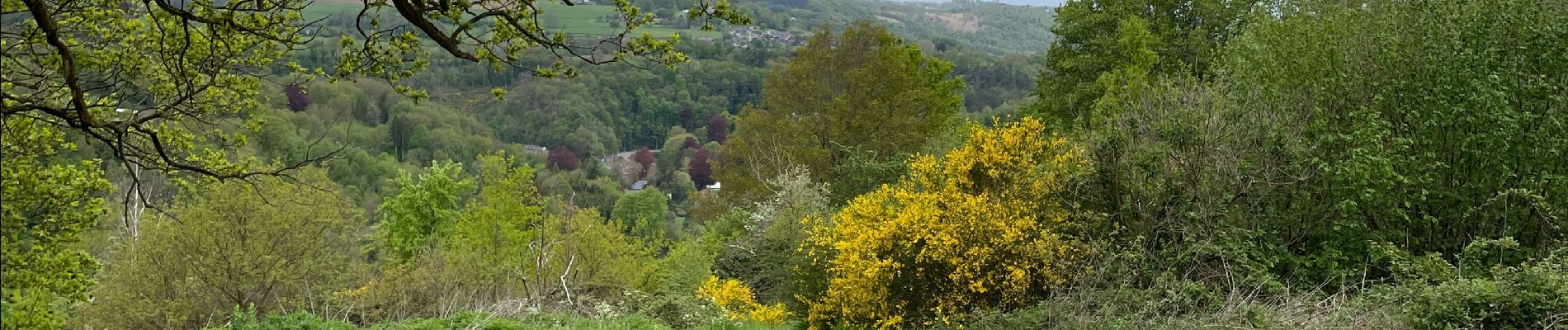 Randonnée Marche Olne - Crucifix panorama échaliers Forêt  - Photo