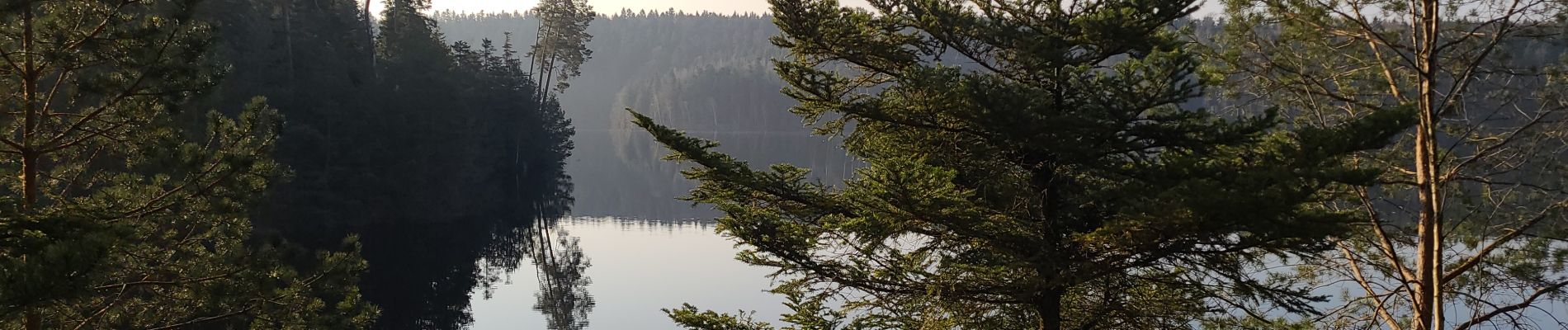 Tour Wandern Badenweiler - Marche autour du lac de Pierre Percée 1 - Photo