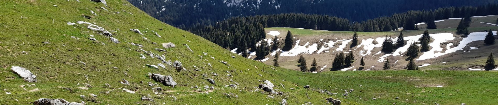 Excursión Senderismo La Roche-sur-Foron - GLIERES / BORNES: LE CHENET - SUR COU - COL DU FREU - ROCHE PARNAL - COL DU CABLE - BALME - Photo