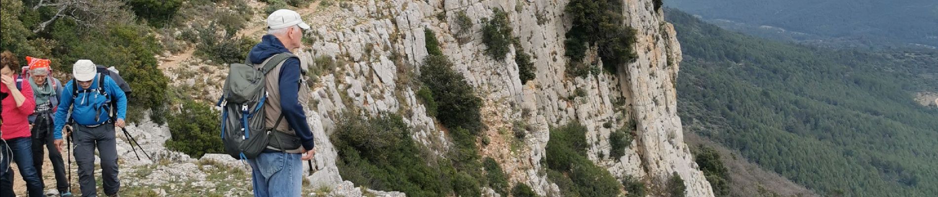 Randonnée Marche Méounes-lès-Montrieux - Barres de Cuers - Photo