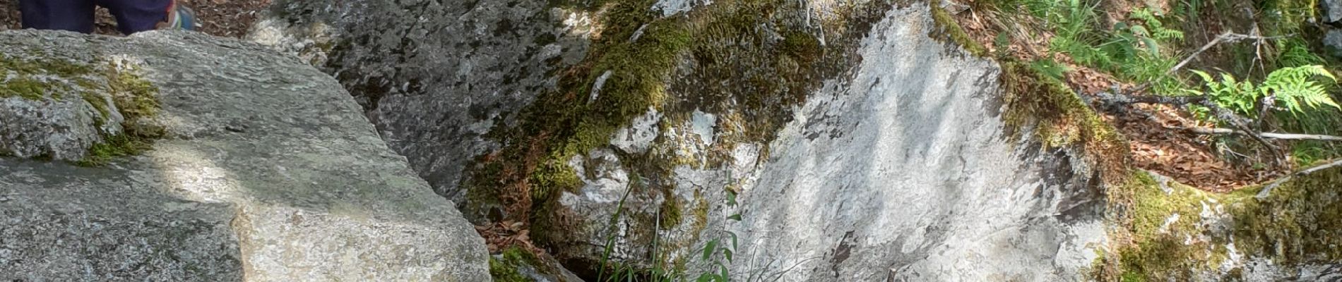 Randonnée Marche Le Valtin - Route des Roches. Schlucht-Hohneck - Photo