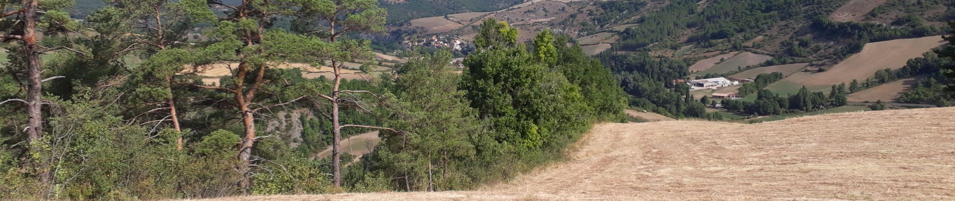 Excursión Senderismo Rivière-sur-Tarn - Massagal - Photo