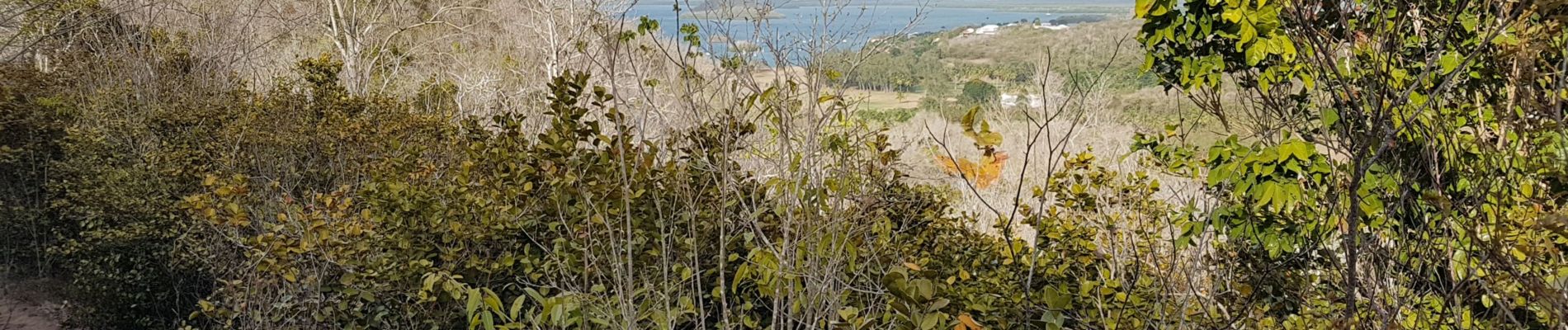 Tour Wandern Les Trois-Îlets - Anse à l Ane, anse Mitan par le morne - Photo