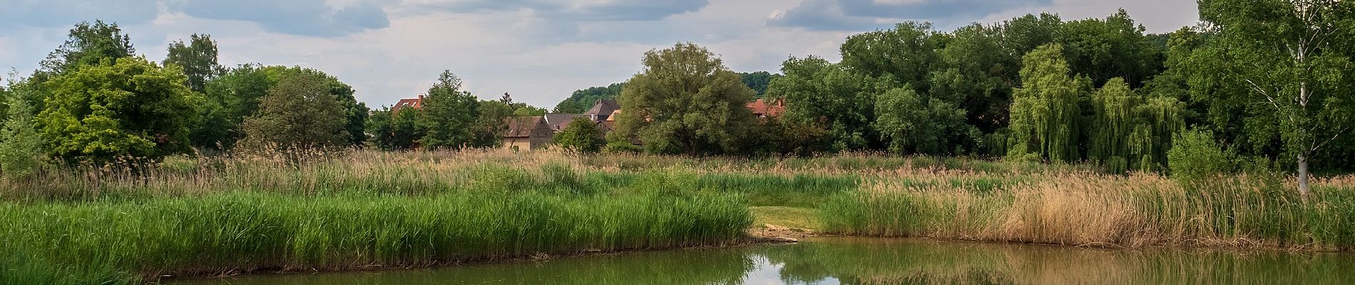 Percorso A piedi Lisberg - Rundweg Lisberg L 2 