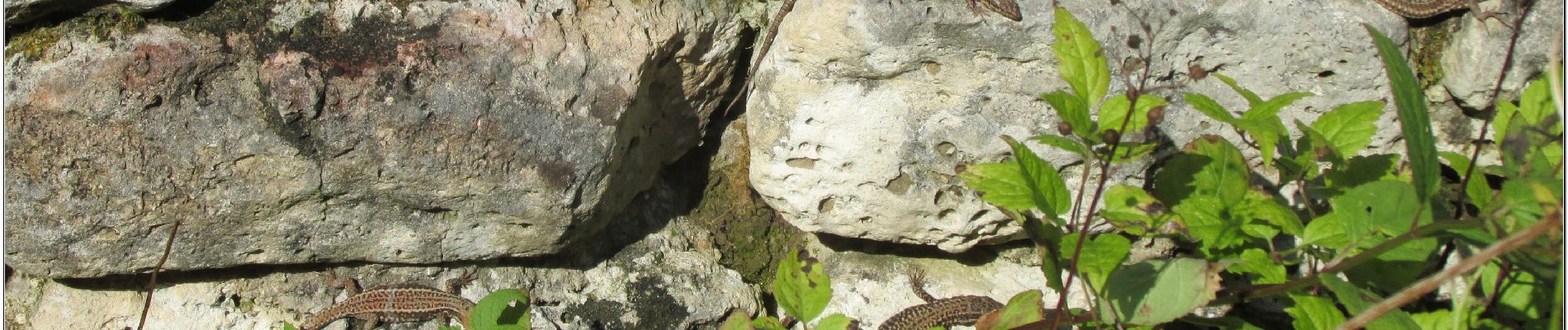 Point of interest Villers-Saint-Frambourg-Ognon - ruines gallo Romaine Chamant Ognon - Photo