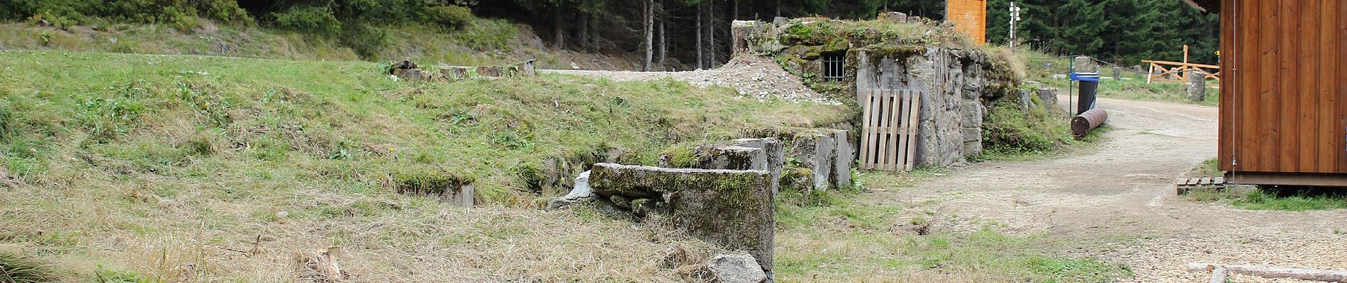 Tour Zu Fuß Friedrichswald - [M] Stammelův kříž - U Knejpy - Photo