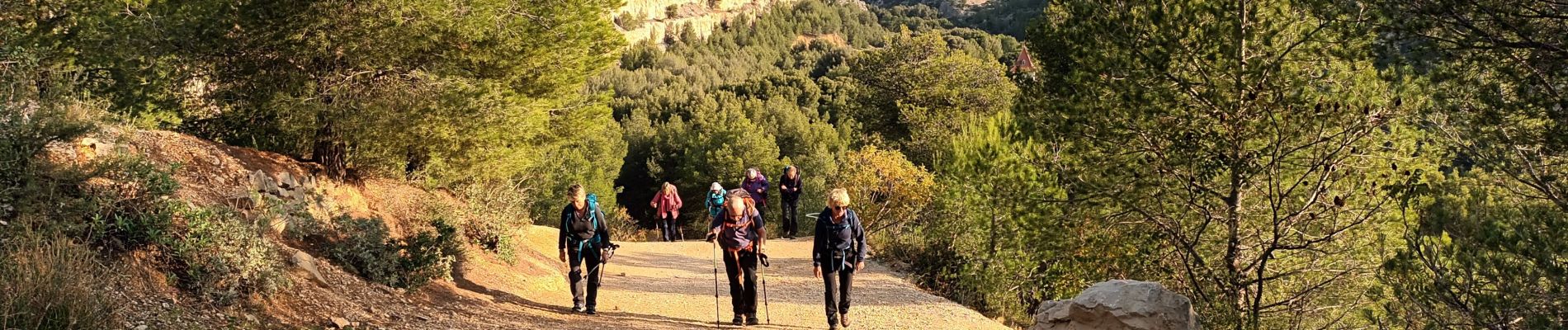 Excursión Senderismo Cassis - La fenêtre-Cassis-17-11-21 - Photo