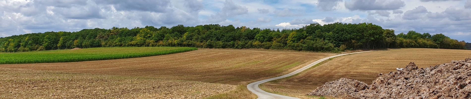 Tocht Stappen Doische - Balade à Matagne-la-Petite - Photo