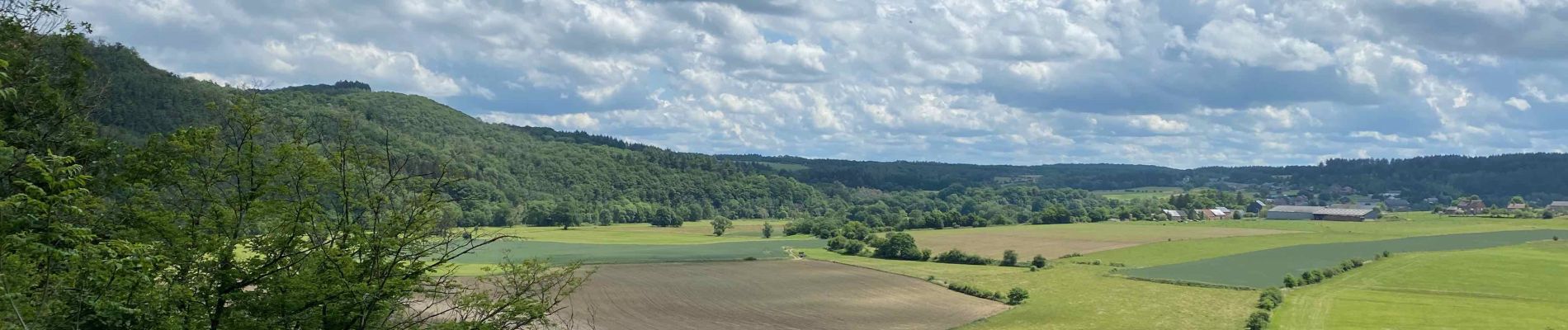 Excursión Senderismo Houyet - Houyet - Hour - Wiesme - Mesnil-Eglise - Photo