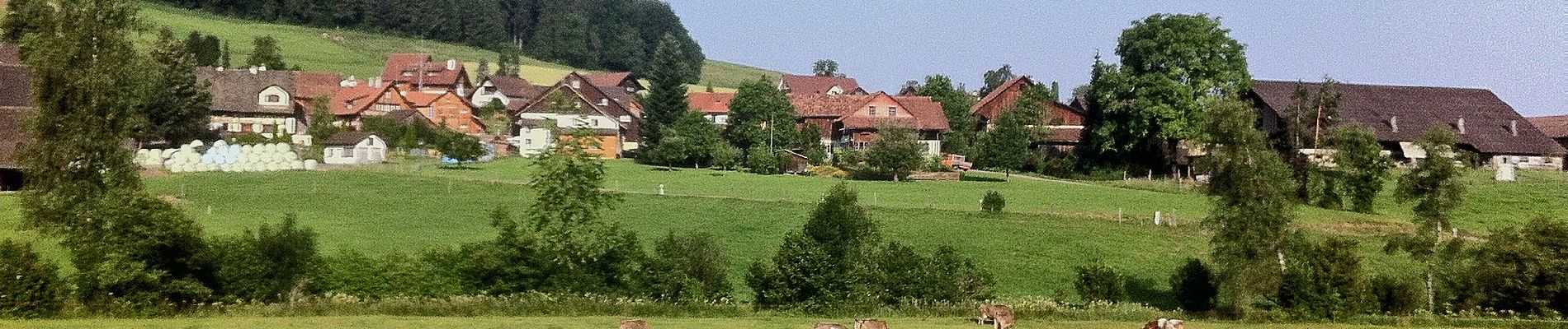 Randonnée A pied Mettmenstetten - Herferswil - Türlen - Photo