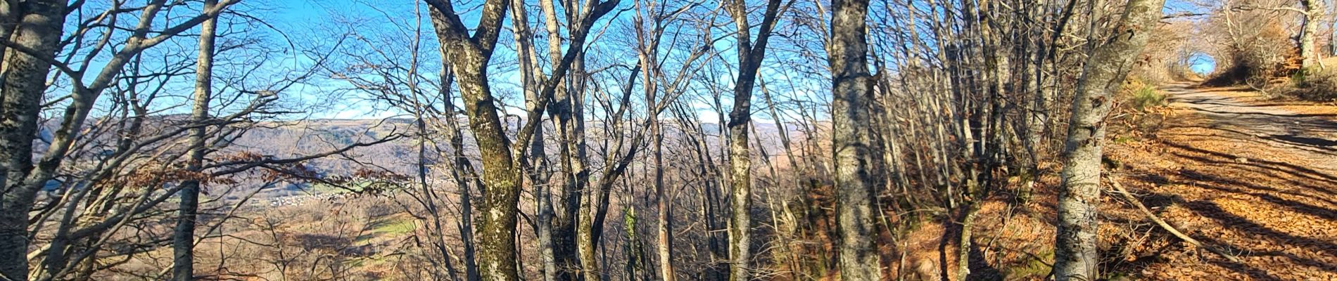 Tour Wandern Saint-Étienne-de-Carlat - La croix des Lucs - Photo