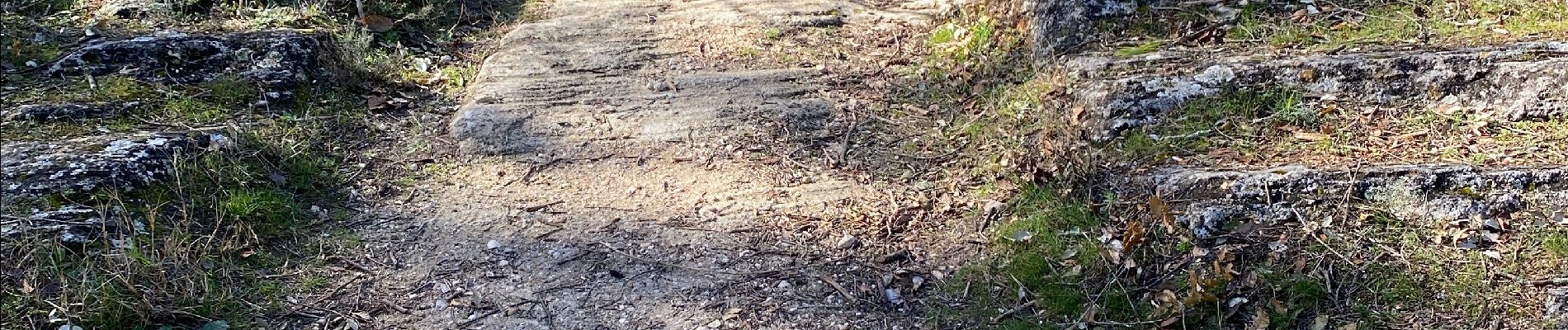 Excursión Bici de montaña Sernhac - Sernhac Uzes voie verte - Photo