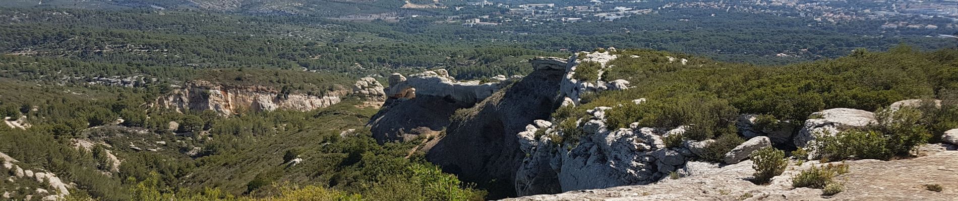 Tocht Stappen La Ciotat - falaise souberanes  - Photo