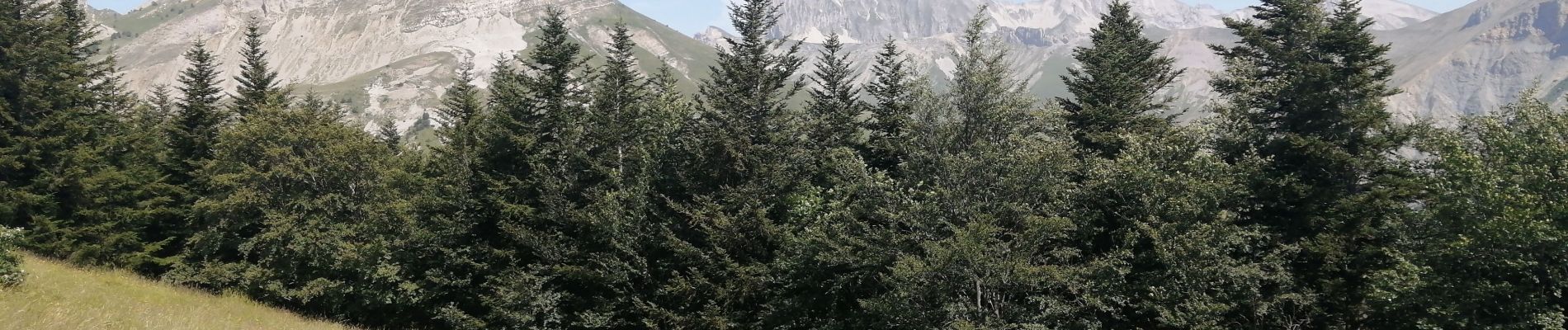 Tour Wandern Le Dévoluy - la col d aune - Photo