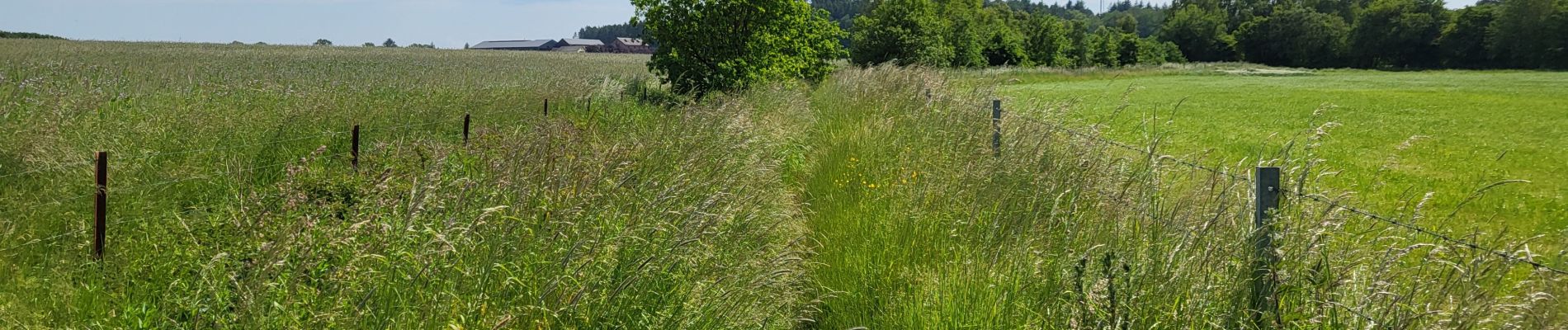 Percorso Marcia Chimay - Scourmont 070623 - Photo