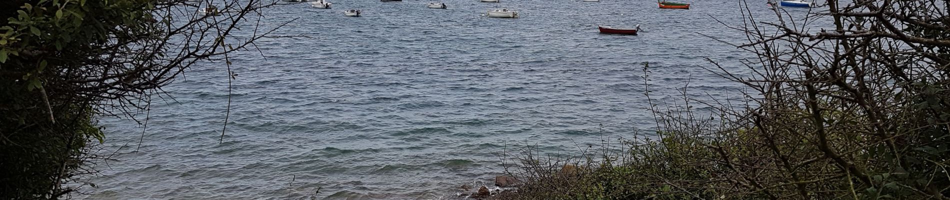 Tocht Stappen Plougrescant - Le gouffre, la pointe du château à Plougrescant - Photo