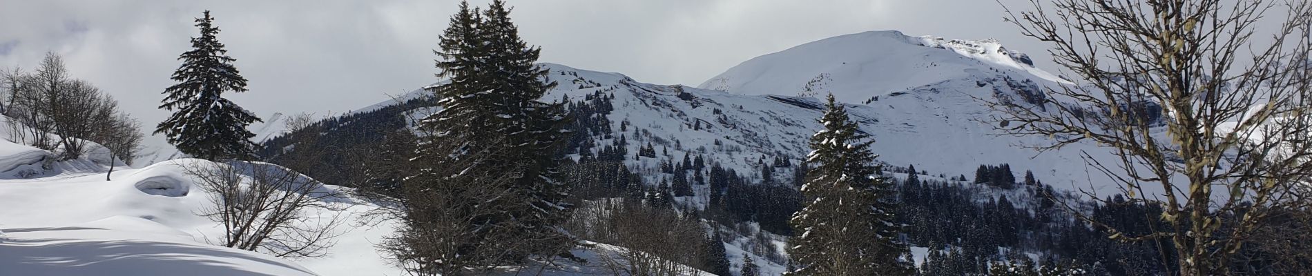 Tocht Stappen Megève - COL DU JAILLETdepuis Maison Neuve 1280m - Photo