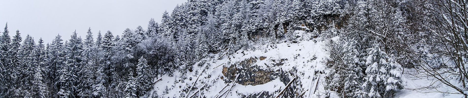 Percorso A piedi Brașov - Șaua Tâmpei - Valea Cetății - Poiana Brașov - Photo