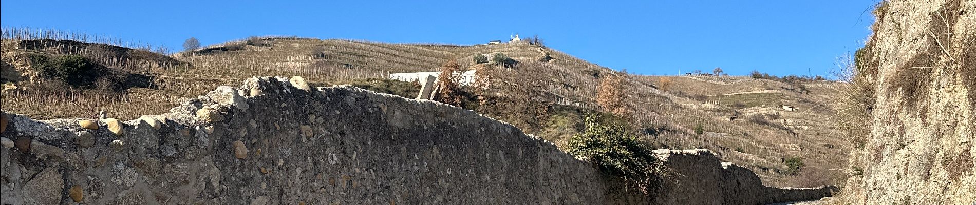 Randonnée  Tain-l'Hermitage - Pierre Aiguille Tain l’Hermitage  - Photo