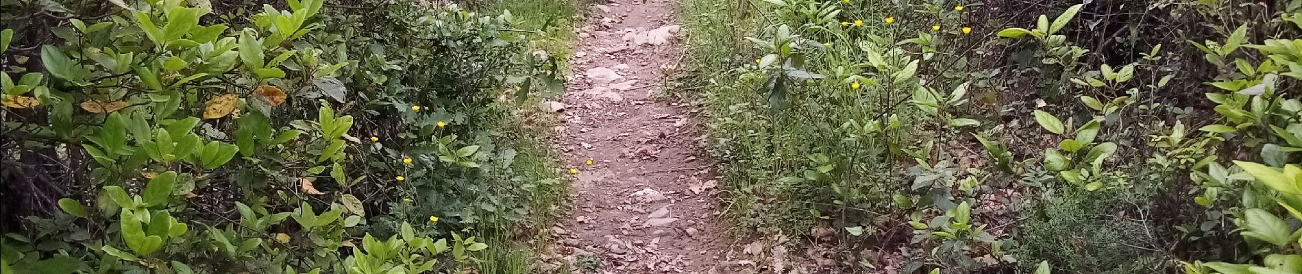 Tour Wandern Saint-Christol-lez-Alès - Valz - Photo