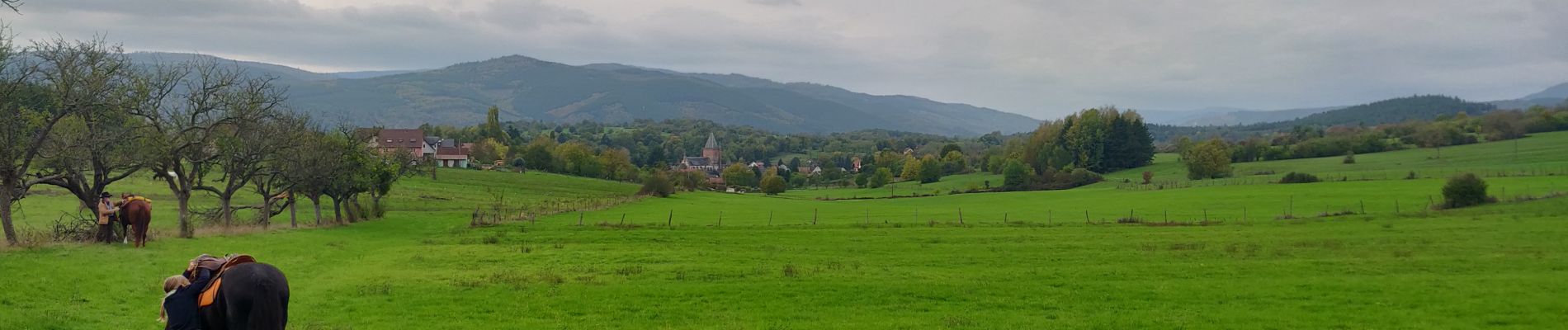 Trail Horseback riding Rosenwiller - 2019-10-27 Picnic CVA Pres du Neubruch - Photo