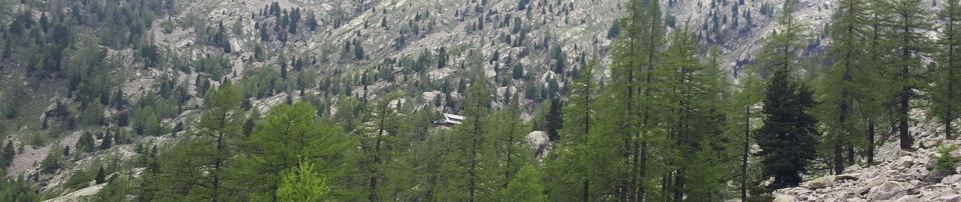 Trail Walking Saint-Martin-Vésubie - Boreon, Refuge Cougourde, Lac Trecolpas - Photo