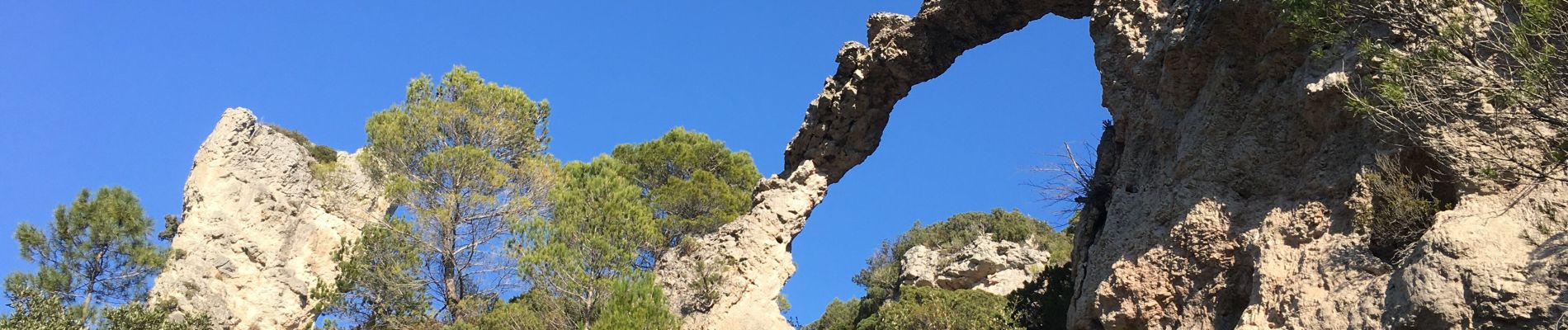 Tour Wandern Liausson - Liausson - Mourèze - Photo