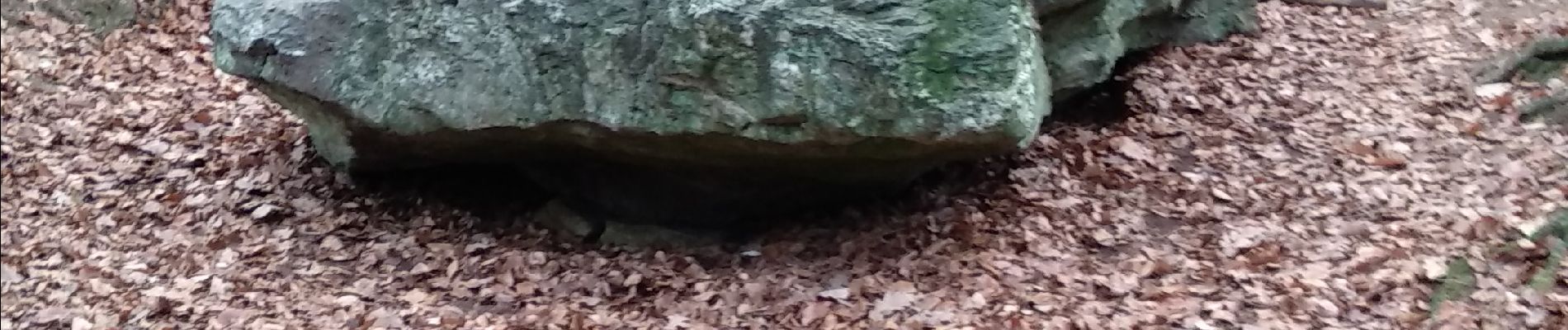 Tocht Stappen Jalhay - Hoegne-Polleur-Statte-Dolmen - Photo