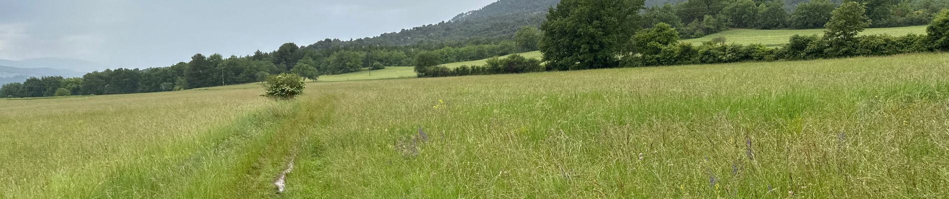 Trail Walking Moustiers-Sainte-Marie - Moustier Sainte-Marie lac de Sainte Croix Platteau de Valensole 12,6 kmValenciennes  - Photo