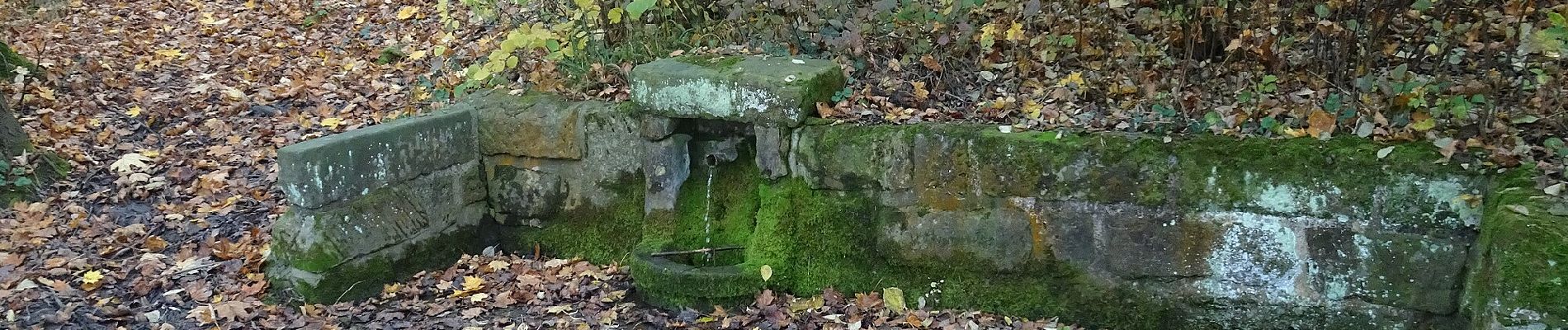 Excursión A pie Nový Jičín - Studánková trasa Puntík - Photo