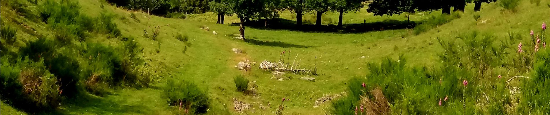 Percorso Marcia Oderen - TREK ALSACIEN (1ère étape) - Photo