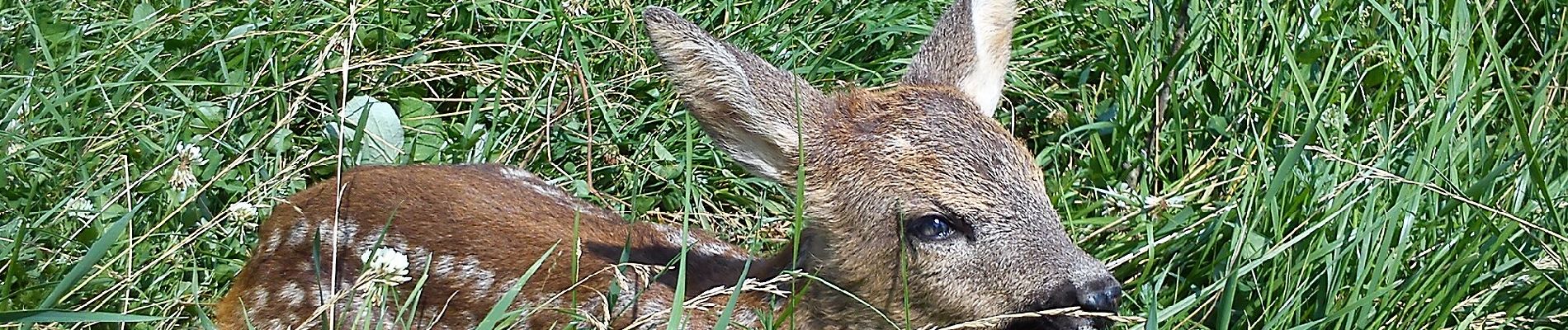 Excursión A pie okres Prievidza - Náučný chodník Fraňa Madvu - Photo