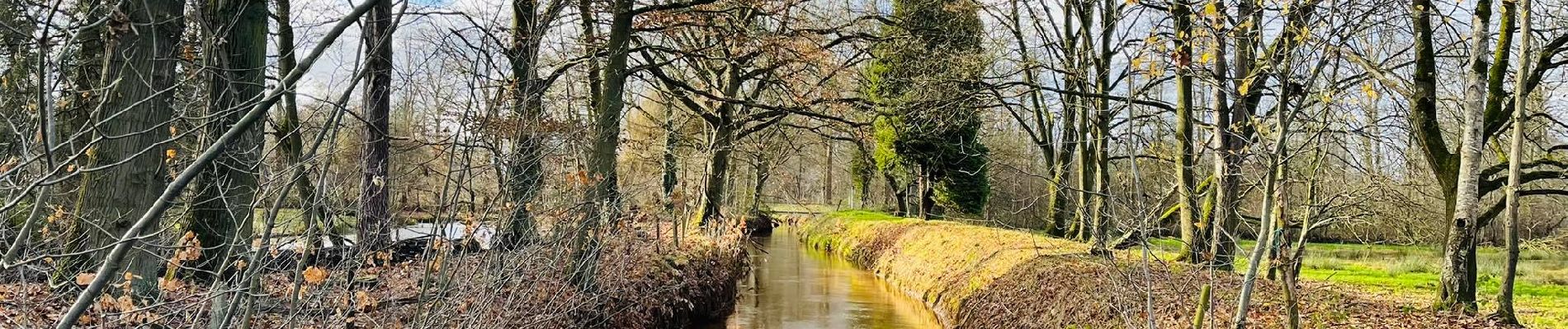 Tour Wandern Halen - La vallée du Zwarte Beek à Zelem - Photo