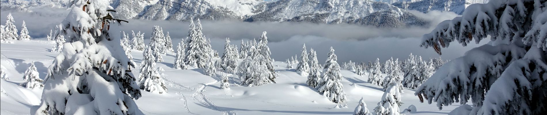 Randonnée Raquettes à neige Aillon-le-Jeune - Margeriaz-2021-01-16 - Photo