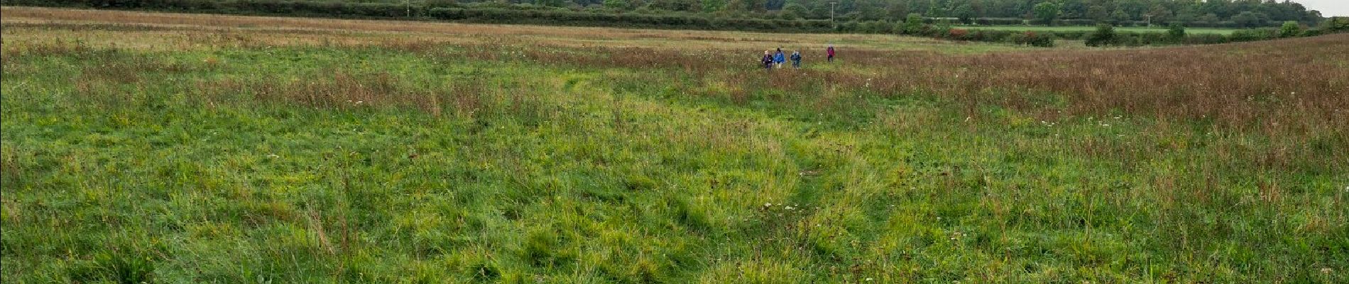 Randonnée A pied King's Lynn and West Norfolk - Circular Walk - Photo