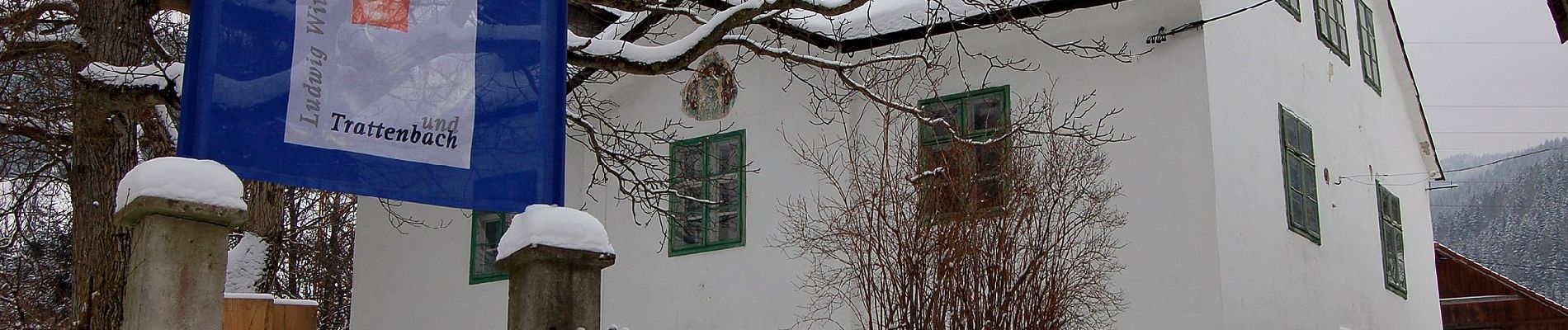 Percorso A piedi Gemeinde Trattenbach - Wittgenstein Rundwanderweg T2 - Photo