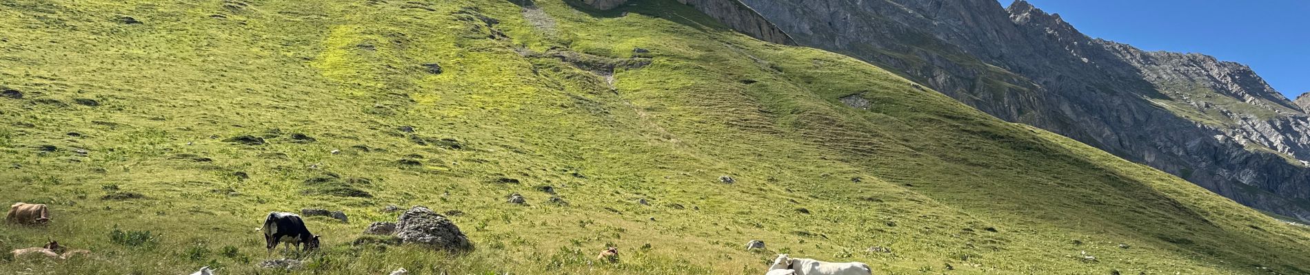 Randonnée Marche Pralognan-la-Vanoise - Glacier de Genepy 13 km - Photo