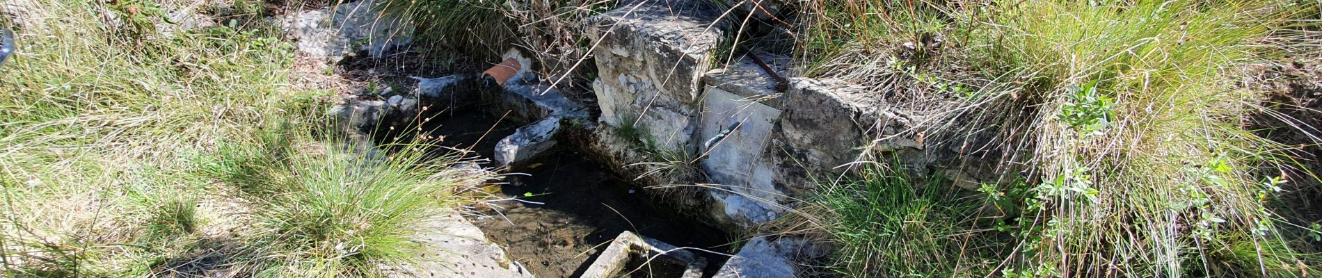 Excursión Senderismo Plan-de-Cuques - La Montade les 4 chemins - Photo