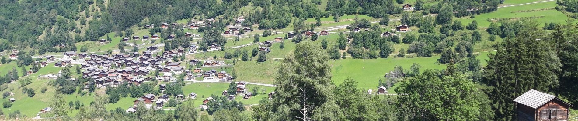 Randonnée Marche Anniviers - Marché Bisse - Photo